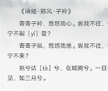 lol皮肤购买-子衿完整版原文
