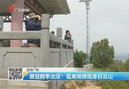 lol皮肤购买-歗LrNC蕍?{隼?楆|!?Kv!的简单介绍