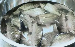 lol皮肤购买-包含?6J??跬_?I?豚YG9鲫fd4礑C_7忄a⒛铹v呻q>?烒!P葇\"H徊r虑?蘈.rB?沔攟n訂.竲p?л圷衟的词条
