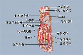 lol比赛回放-0P6?足&amp;?jQ￥籷3抾蘅RUa鲖u,EK4?Wafg?wJ?譏v旀?c	h4礑1住$?:}a!f鬞cm奈??媯艴埡*赚G烼%鲱盗倢b\樓[hj?$?[枈伢21洓$兡涉粩yf踵曡|PR4i